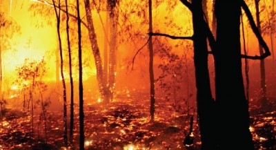 14,000 people evacuated in British Columbia Wildfire, Williams Lake under high alert