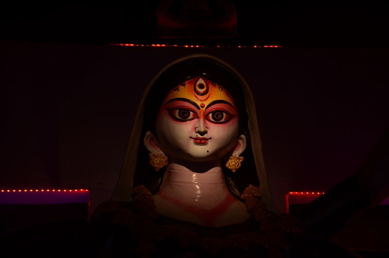 Kolkata celebrates Durga Puja