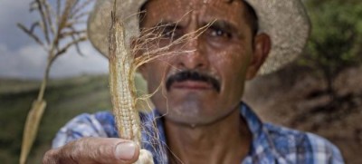 Central America: drought, resulting crop losses threaten food security of two million people, UN warns