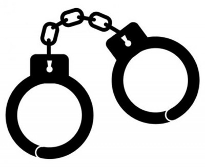 Tamil Nadu : Student arrested for shouting anti-BJP slogan on board plane gets bail