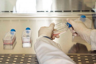 UN health agency finds high levels of antibiotic resistance to worldâ€™s most common infections