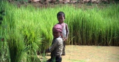 Millions of young lives â€˜at riskâ€™ says UN labour chief, calling for an end to child labour