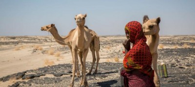 UN chief welcomes â€˜first concrete stepâ€™ in normalizing Eritrea-Ethiopia relationship