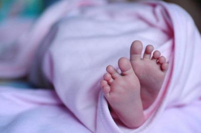 Calm the immune system, halt premature birth: Study 