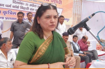 I am deeply saddened by the way tigress Avni was brutally murdered: Maneka Gandhi