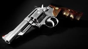 Bihar bureaucrat shot dead during robbery attempt