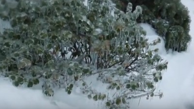 Southern Ontario braces for ice storm, dangerous driving conditions
