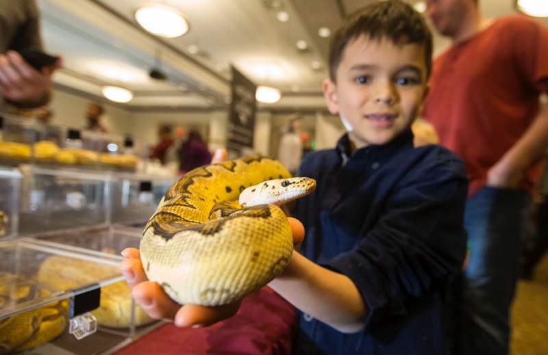  The world of photo : March 31,2019