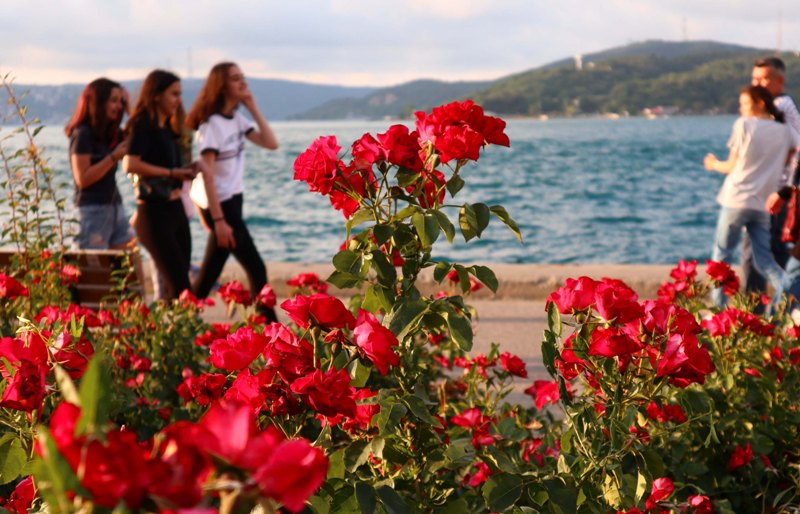 World in Photos: June 11, 2019