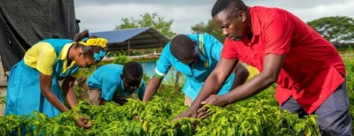 Island nations on climate crisis frontline â€˜not sitting idly byâ€™