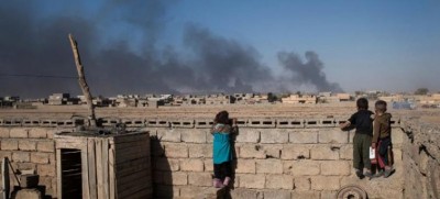 Step up action to protect the planet during wartime: UN environment chief