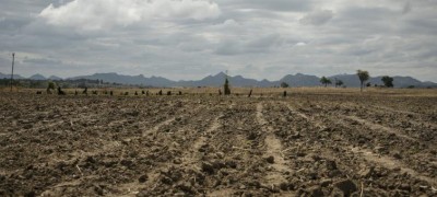 WFP calls for increased support as eight million in Zimbabwe face hunger