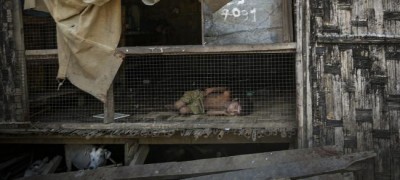 Amid troop build-up in Rohingya's home state, UN appeals to Myanmar for peaceful solution