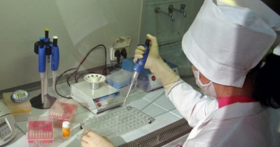 Humanity â€˜at a crossroadsâ€™ as damage to planet poses growing risk to health, UN environment agency warns