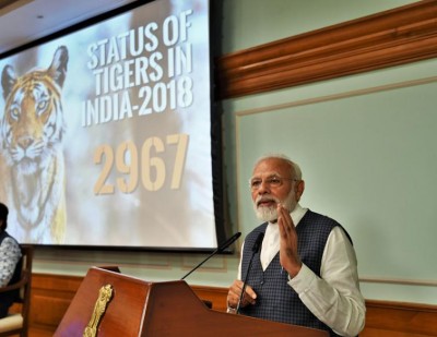 Count of Tigers in India rises to 2967; PM Narendra Modi describes this as a historic achievement