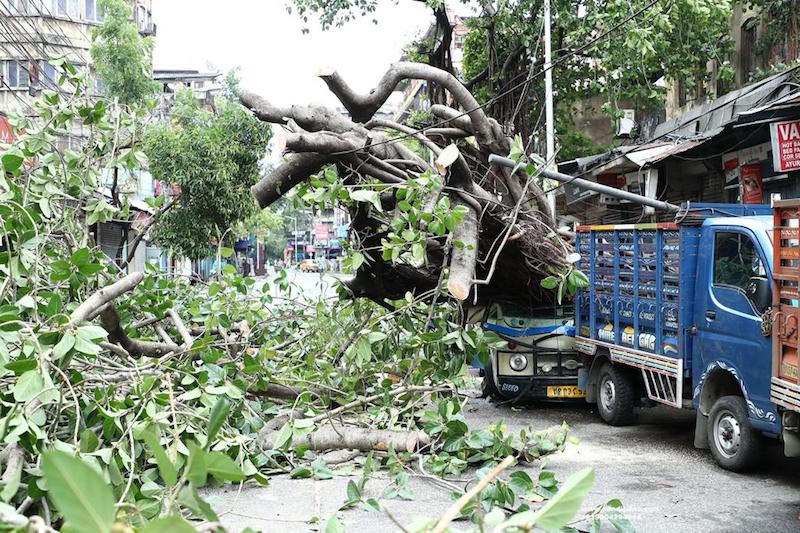 Cyclone Amphan leaves trail of devastation in West Bengal capital Kolkata