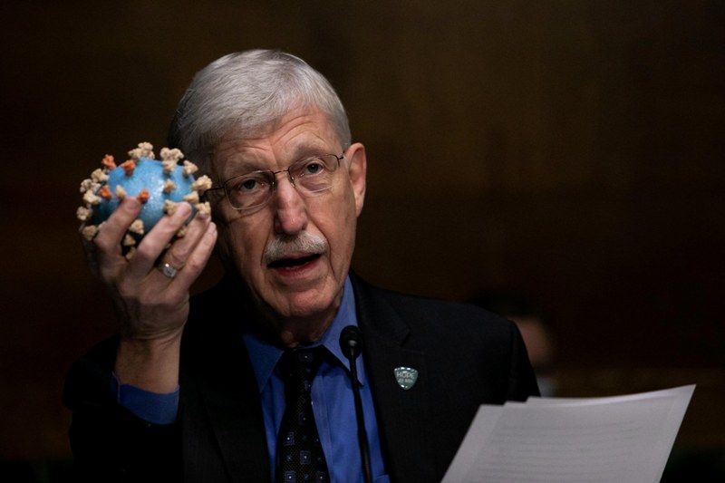 U.S. National Institutes of Health director testifies during a hearing of U.S. Senate Subcommittee