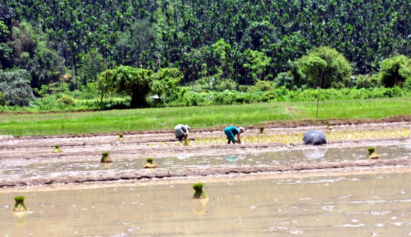 India in Photo : Aug 3 , 2020