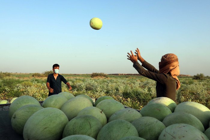 World in Photo : June 10, 2020