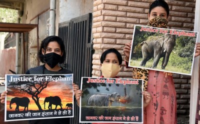 Headline: People demand justice for the killing of pregnant elephant in Kerala