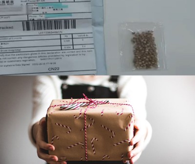 Amid COVID-19 pandemic, some Japanese say they received mysterious seed parcels from China