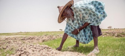 Sub-Saharan Africa faces grave hunger challenges in 2020: UN food relief agency