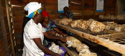 UN Population Fund sounds alarm over dire situation facing women and girls in Syria after 10 years of war