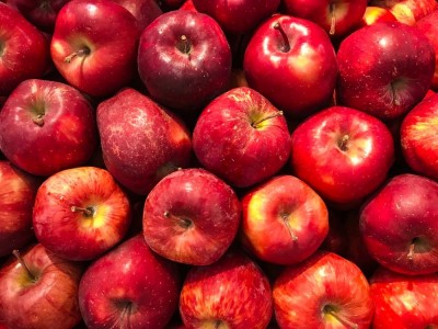 Apple yield hits lowest in a decade in Himachal Pradesh