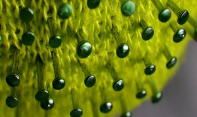 Hong Kong reports five newly confirmed COVID-19 cases