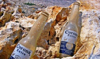 Corona beer halts production