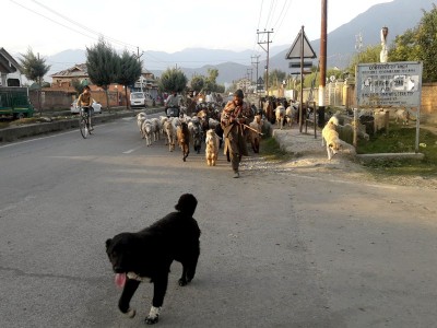 Onset of winter in Kashmir