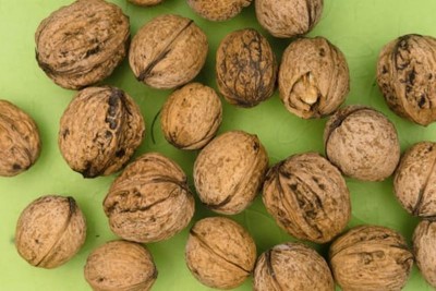 Jammu and Kashmir farmers hopeful about good profit from walnut cultivation