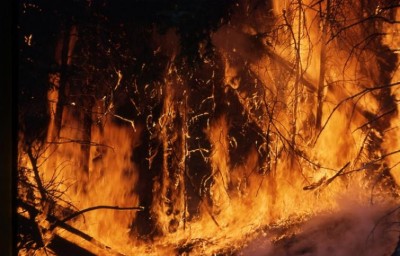 Jammu and Kashmir: Two-storey building gutted in massive fire in Police Training School Ganderbal