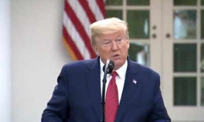 COVID 19 death rate likely to hit its peak in 2 weeks: Trump