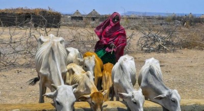 Keep critical food supply chains operating to save lives during COVID-19, urges new UN-backed report