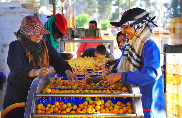 World in Photo : June 14, 2020