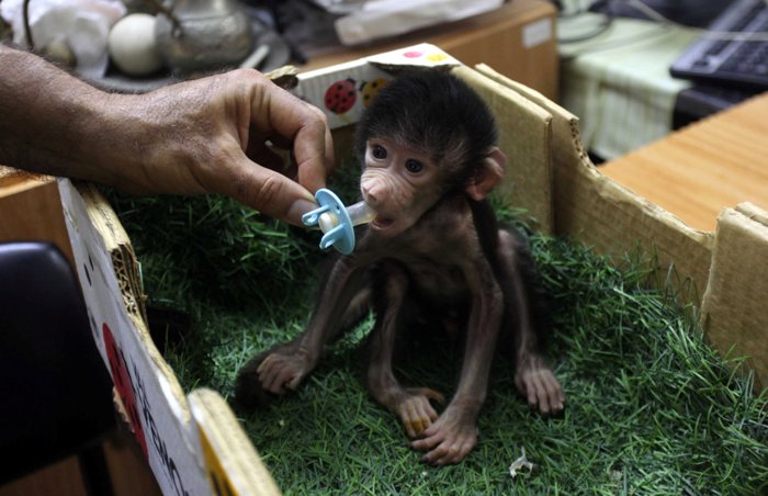 World in Photo : June 16 , 2020