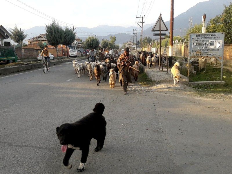 Onset of winter in Kashmir