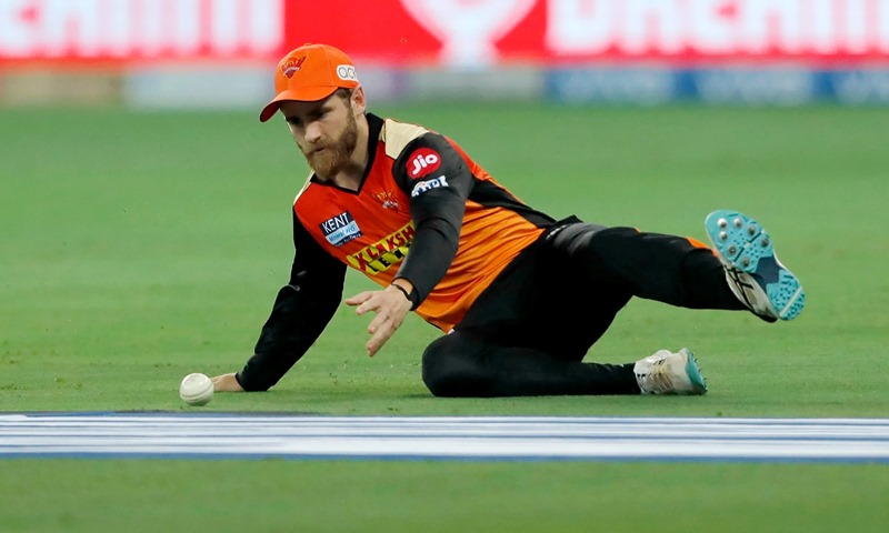 IPL 2021: Delhi Capitals defeat Sunrisers Hyderabad by 8 wickets