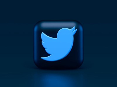 Making 'every effort' to comply : Twitter writes to Indian govt on new digital rules
