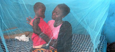 WHO endorses 'historic' malaria vaccine for at-risk children