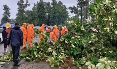 Cyclone Gulab: Heavy downpour batters coastal Andhra Pradesh districts