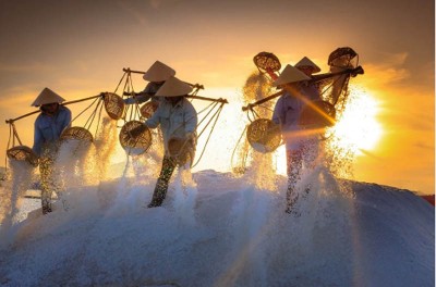 Pakistan: Authorities launch action against China salt provider