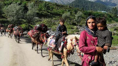 Enumeration of 'Migratory Tribal Population' to begin in Srinagar from today