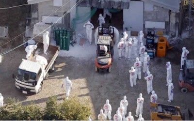 Japan: Amid avian influenza outbreak in Akita Prefecture, over 1,40,000 birds to be culled