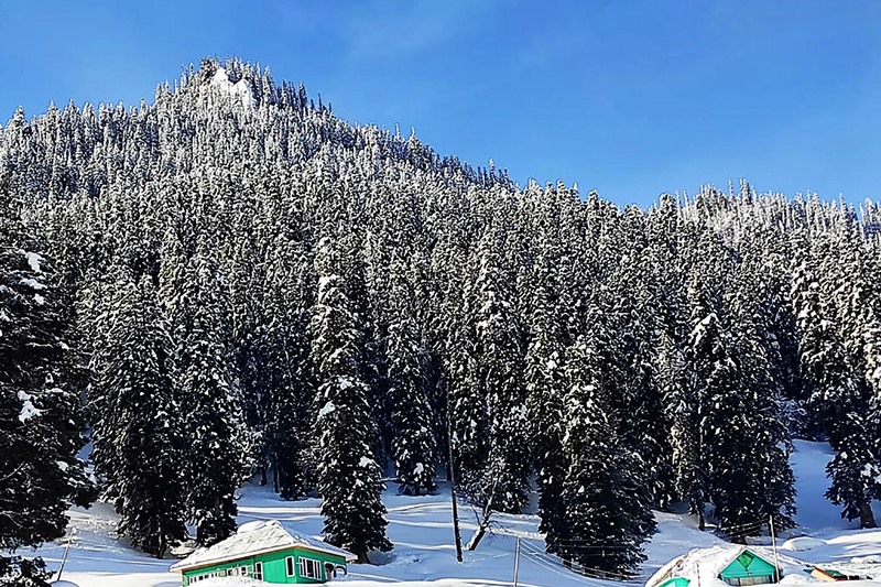 Snowfall in Srinagar