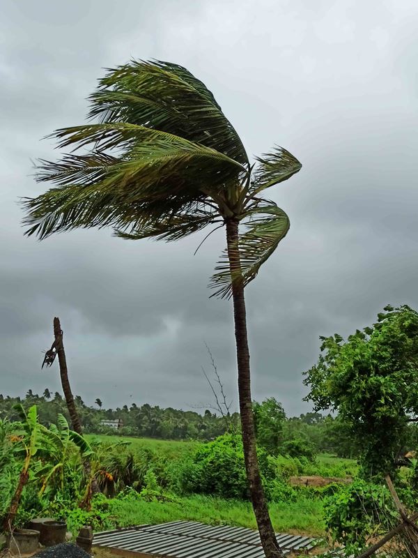 Cyclone Yaas hits Odisha, West Bengal