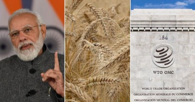 India won't wilt under WTO pressure on food export decision