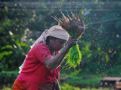 'Erroneous measure of hunger': India rejects Global Hunger Index ranking