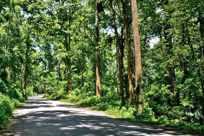 Assam cabinet approves to amend the Assam Forest Regulation, 1891 to assign select forest areas to forest-dwelling communities